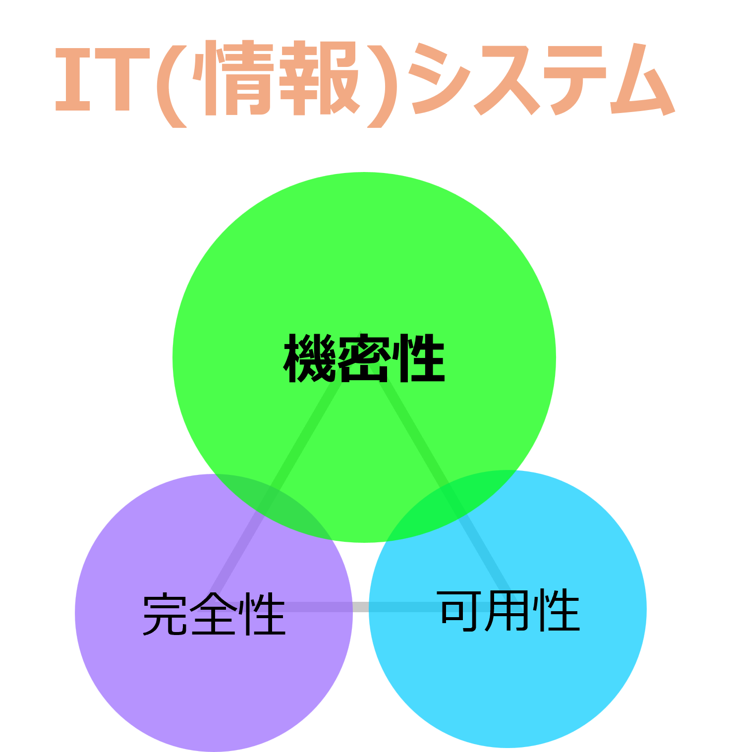 [イメージ] IT（情報）システム